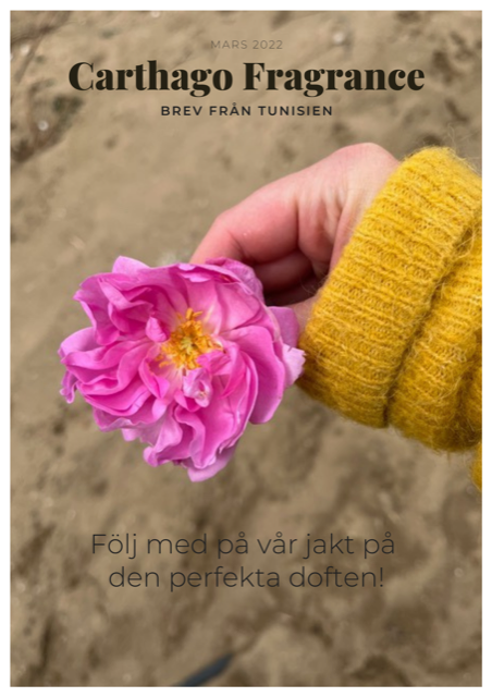 Pre-study and harvesting of raw materials in Tunisia, Newsletter 2