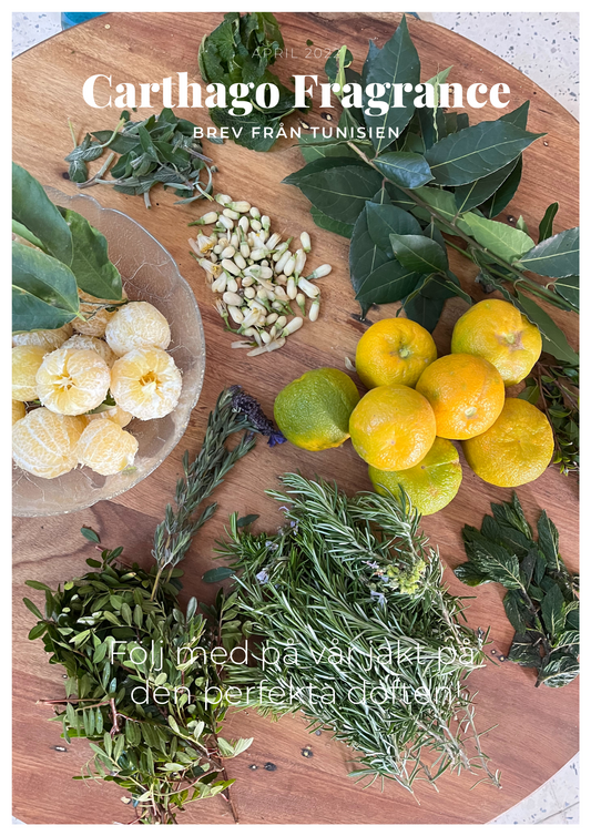 Lab distillation and our first fragrances, Newsletter 3