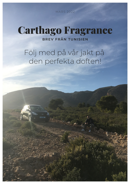 The search for the perfect fragrance, Newsletter 1